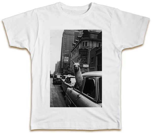 llamar in car t-shirt - cool funny present gift joke men womens sportswear tee shirt sport hooded sweatshirt hoodie
llamar in car t-shirt - cool funny present gift joke men womens sportswear tee shirt sport hooded sweatshirt hoodie