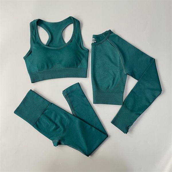 women fitness set seamless gym bras leggings + shirts sports clothes workout running yoga suit sportswear c0122, Gray
women fitness set seamless gym bras leggings + shirts sports clothes workout running yoga suit sportswear c0122, Gray