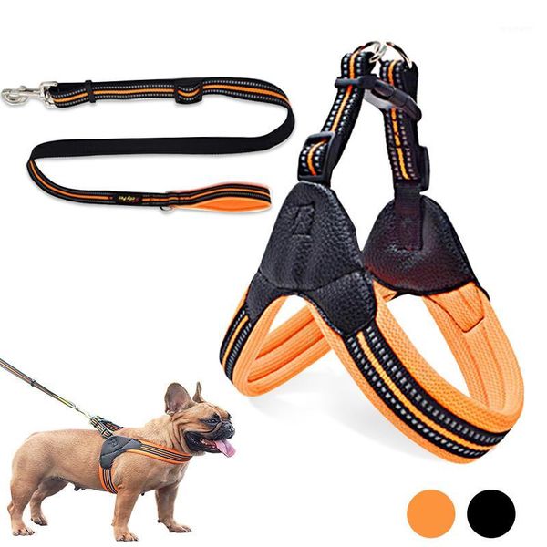 dog collars & leashes durable nylon reflective harness collar breathable anti-collision product products for dogs small medium large pet1
dog collars & leashes durable nylon reflective harness collar breathable anti-collision product products for dogs small medium large pet1