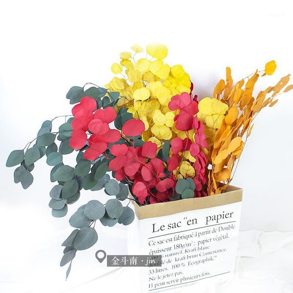 decorative flowers & wreaths 2pcs dried eucalyptus branches for diy home wedding decoration 1 
decorative flowers & wreaths 2pcs dried eucalyptus branches for diy home wedding decoration 1