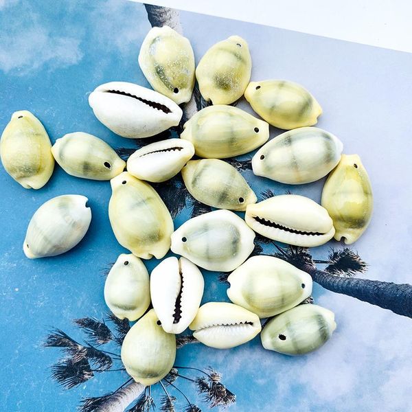 20pcs 24 30mm natural shell conch beads decor sea shells diy jewelry accessories handmade necklace shells for jewelry making h jllrtb
20pcs 24 30mm natural shell conch beads decor sea shells diy jewelry accessories handmade necklace shells for jewelry making h jllrtb