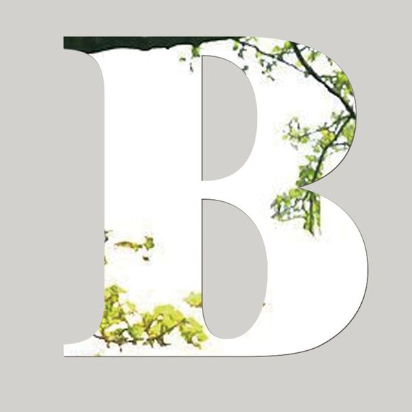 new mirror wall sticker 26 letters diy art mural home decor acrylic decals silver fashionable and stylish design
new mirror wall sticker 26 letters diy art mural home decor acrylic decals silver fashionable and stylish design