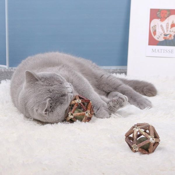 cat toys catnip kitten polygonum stick toy ball quality pet chew teeth clean product interactive toys1
cat toys catnip kitten polygonum stick toy ball quality pet chew teeth clean product interactive toys1