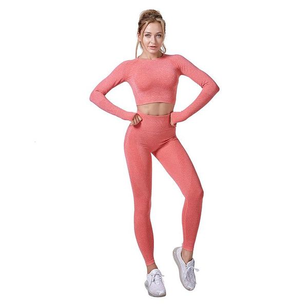 yoga outfits women seamless clothes set short sleeve fitness sports suits long high waist leggings, White;red
yoga outfits women seamless clothes set short sleeve fitness sports suits long high waist leggings, White;red