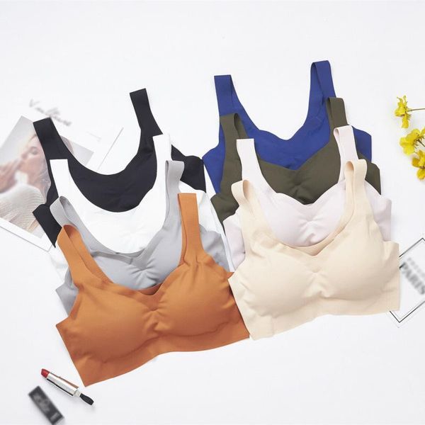 gym clothing women's high impact mesh seamless wireless padded bcd cup active sports bra wirecomfort yoga bra1, White;black
gym clothing women's high impact mesh seamless wireless padded bcd cup active sports bra wirecomfort yoga bra1, White;black