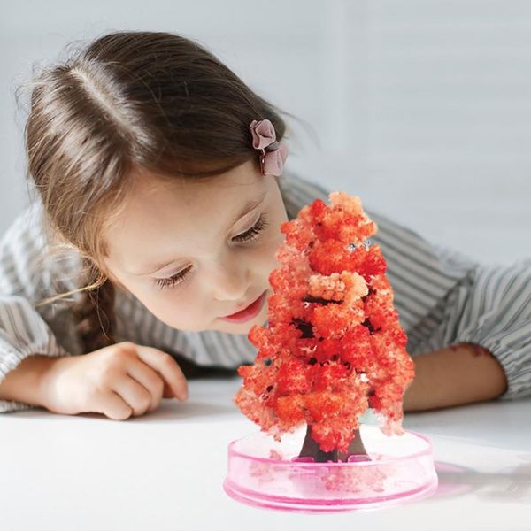 10ml christmas magic growing tree gift paper tree flash decoration toy boy girl novelty christmas gift magic blossom #y
10ml christmas magic growing tree gift paper tree flash decoration toy boy girl novelty christmas gift magic blossom #y