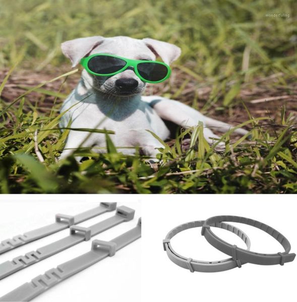 practical dog cat adjustable anti flea ticks collar pet waterproof pet collar over 8 months protection dog accessories1
practical dog cat adjustable anti flea ticks collar pet waterproof pet collar over 8 months protection dog accessories1