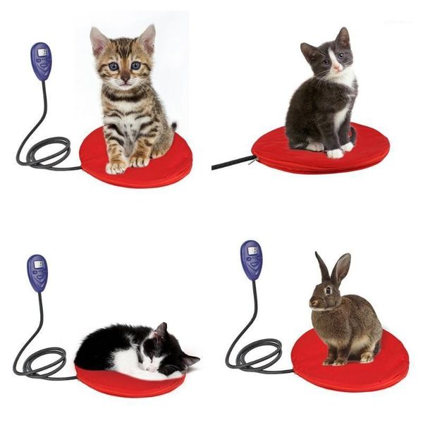 cat beds & furniture pet warm mat for dog thermal soft keep in fall winter blankets pad self heating rug bed1
cat beds & furniture pet warm mat for dog thermal soft keep in fall winter blankets pad self heating rug bed1