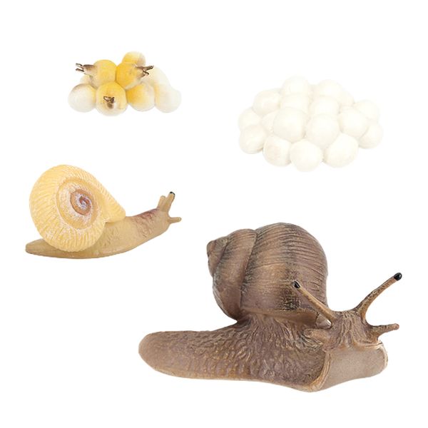 marine creatures growth diary simulation snail life cycle set model action & toy figures teaching & education students toys
marine creatures growth diary simulation snail life cycle set model action & toy figures teaching & education students toys