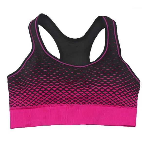 gym clothing women professional print sports bra wireless seamless underwear running fitness bodybuilding nightwear for ladies 20211, White;black
gym clothing women professional print sports bra wireless seamless underwear running fitness bodybuilding nightwear for ladies 20211, White;black