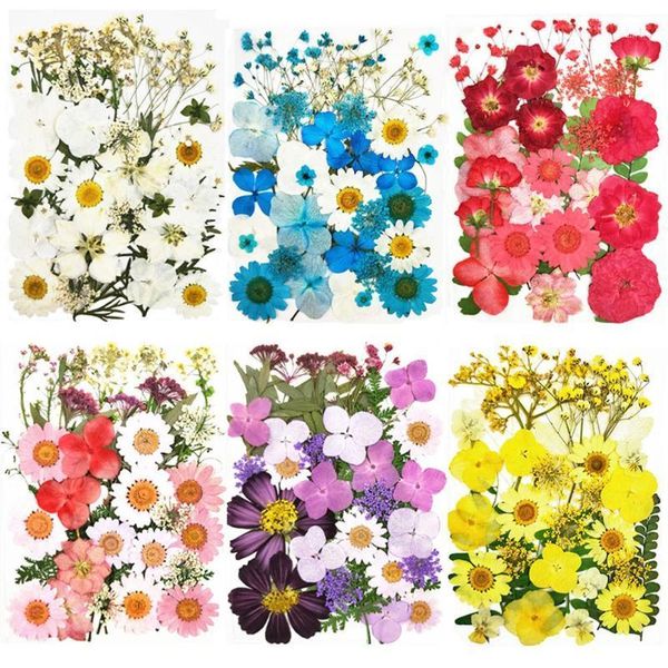 pressed dried flowers natural dry preserved flower for diy scrapbooking bookmark gift box card phone case decoration1
pressed dried flowers natural dry preserved flower for diy scrapbooking bookmark gift box card phone case decoration1