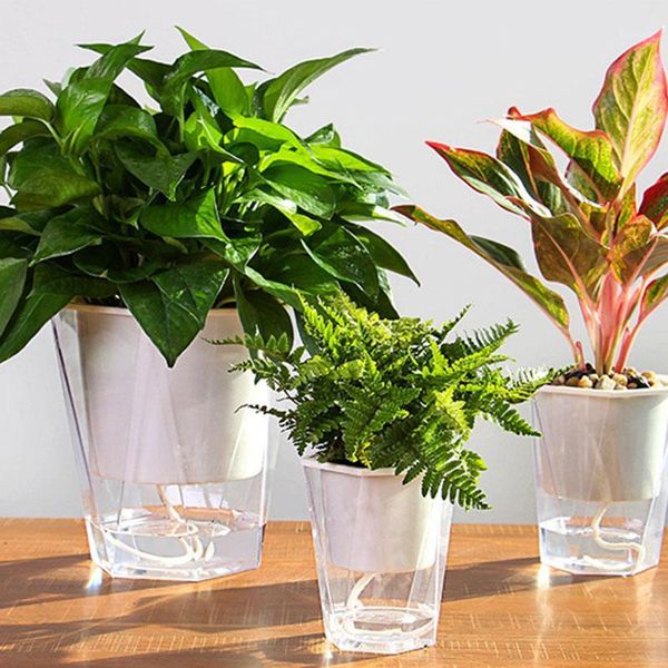 flower plant pot self watering planter transparent planting flower pot water storage basin mdj9981
flower plant pot self watering planter transparent planting flower pot water storage basin mdj9981