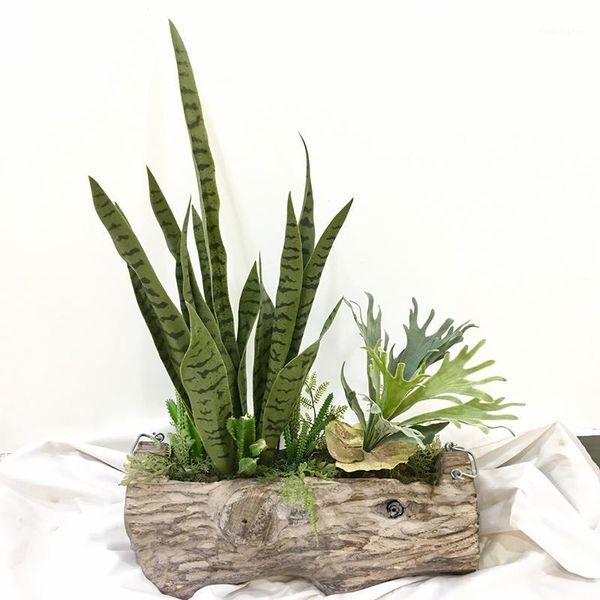 decorative flowers & wreaths tropical desert plants artificial flower sansevieria trifasciata simulation succulent agave plant home office t
decorative flowers & wreaths tropical desert plants artificial flower sansevieria trifasciata simulation succulent agave plant home office t