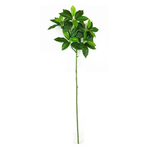 decorative flowers & wreaths artificial plants home decor simulation banyan fake leaves green pvc indoor use lifelike garden landscaping bra
decorative flowers & wreaths artificial plants home decor simulation banyan fake leaves green pvc indoor use lifelike garden landscaping bra