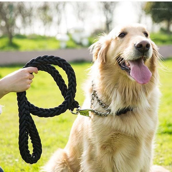 nylon braided large dog leash metal p chain buckle dog collars leash set golden retriever husky medium large traction rope1
nylon braided large dog leash metal p chain buckle dog collars leash set golden retriever husky medium large traction rope1