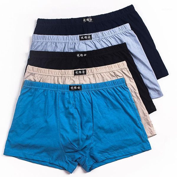 5pcs/lot all cotton underpants men's boxers shorts breathable 100% cotton underwear pure color large size big size four shorts1, Black;white
5pcs/lot all cotton underpants men's boxers shorts breathable 100% cotton underwear pure color large size big size four shorts1, Black;white
