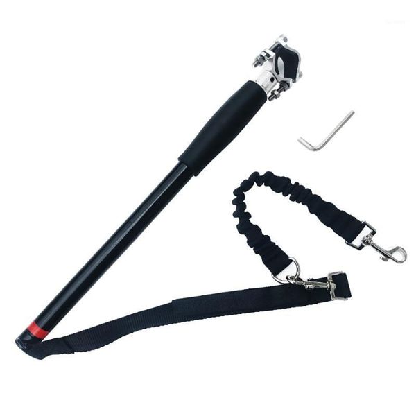 elastic dog bicycle traction belt running walk train for large small cat pets leashes dogs leash rope nylon1
elastic dog bicycle traction belt running walk train for large small cat pets leashes dogs leash rope nylon1