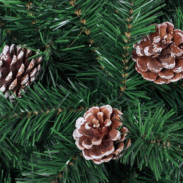 decorative flowers & wreaths 6pieces mini pinecone pine cones for christmas tree ers vase bowl filler displays crafts home decor1
decorative flowers & wreaths 6pieces mini pinecone pine cones for christmas tree ers vase bowl filler displays crafts home decor1