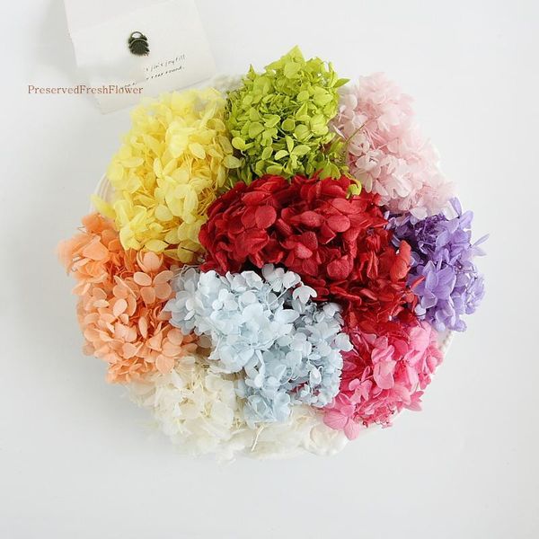decorative flowers & wreaths 10g natural fresh preserved dried hydrangea flower head for diy real eternal life material grade b
decorative flowers & wreaths 10g natural fresh preserved dried hydrangea flower head for diy real eternal life material grade b