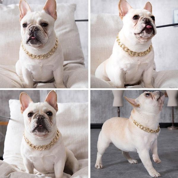 fashion pet dog necklace collars thick fashion gold chain plated plastic identified safety collar puppy dogs supplies1
fashion pet dog necklace collars thick fashion gold chain plated plastic identified safety collar puppy dogs supplies1