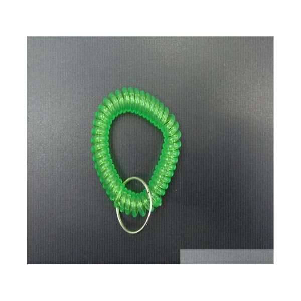 colorful coil key ring plastic spiral coil qyllvg garden2010
colorful coil key ring plastic spiral coil qyllvg garden2010