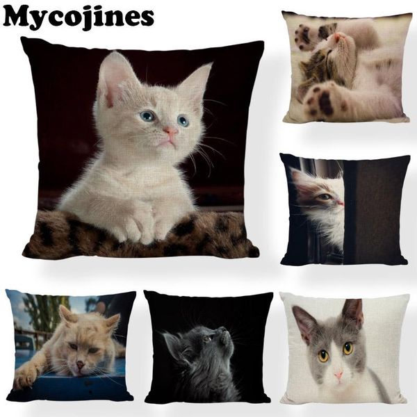 cushion/decorative pillow black white style cute cat pillowcase play living room sofa office chair beach recliner decorative cu
cushion/decorative pillow black white style cute cat pillowcase play living room sofa office chair beach recliner decorative cu