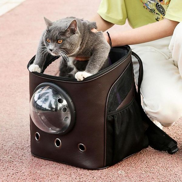 outdoor pet bag large pet backpack portable space breathable window cat carrier dog bag pets products1
outdoor pet bag large pet backpack portable space breathable window cat carrier dog bag pets products1