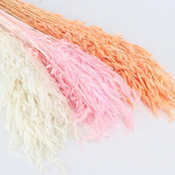 decorative flowers & wreaths natural dried fresh flower bundle preserved diy wedding background wall wheat po pography props1
decorative flowers & wreaths natural dried fresh flower bundle preserved diy wedding background wall wheat po pography props1