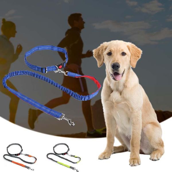 pet elastic leash multifunction running traction rope night reflective elastic nylon leashes hand waist belt leads leash
pet elastic leash multifunction running traction rope night reflective elastic nylon leashes hand waist belt leads leash
