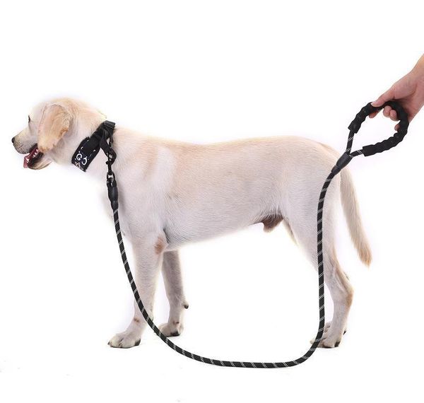 pet supplies reflective multicolor soft round rope dog leash chain pull belt comforta bbykpn bdesports
pet supplies reflective multicolor soft round rope dog leash chain pull belt comforta bbykpn bdesports