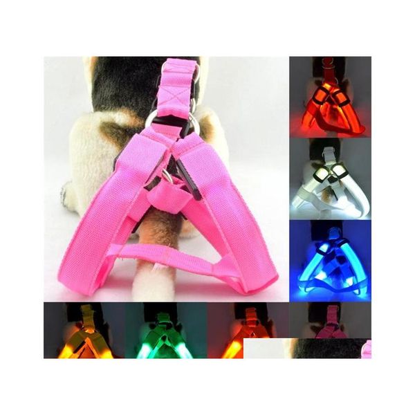 nylon pet safety led harness dog product flashing light harness led harness leash rope belt led dog collar vest pet supplies aaa2110 0t5gb
nylon pet safety led harness dog product flashing light harness led harness leash rope belt led dog collar vest pet supplies aaa2110 0t5gb