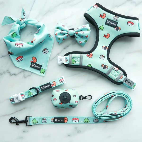 2021 foreign trade pet products ins explosive dog traction rope set walking dog rope brass vest
2021 foreign trade pet products ins explosive dog traction rope set walking dog rope brass vest