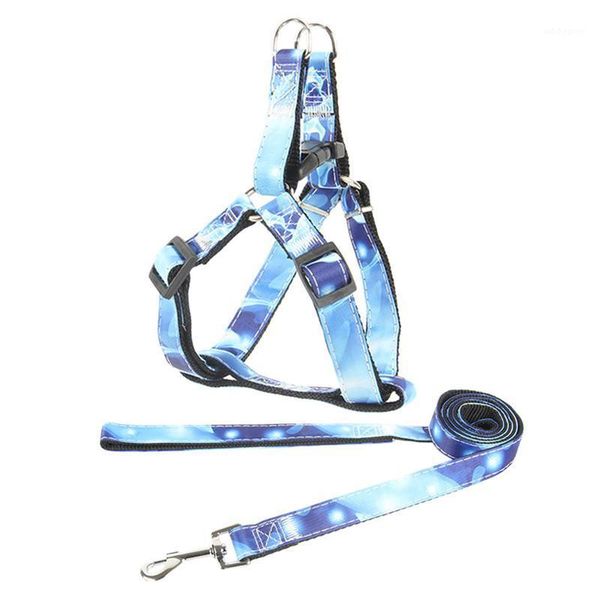 dog collars & leashes 1pc pulling rope training strap puppy traction pet supplies1
dog collars & leashes 1pc pulling rope training strap puppy traction pet supplies1