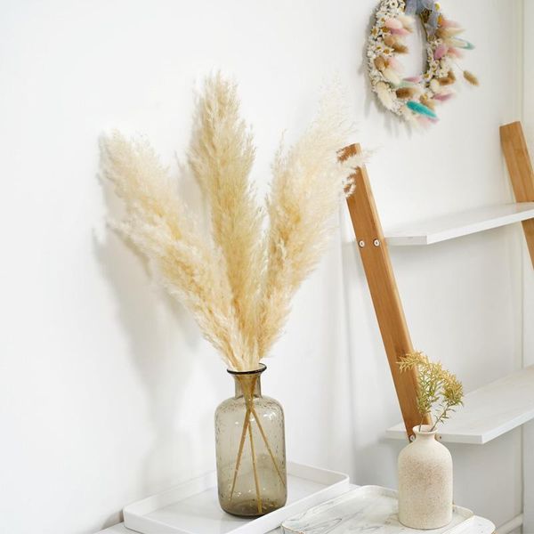 5pcs 55cm natural reed dried flower big pampas grass bouquet wedding flower ceremony decoration modern home decoration
5pcs 55cm natural reed dried flower big pampas grass bouquet wedding flower ceremony decoration modern home decoration