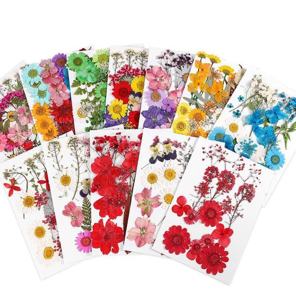 pressed real flowers for candle nail art decals small dried flowers scrapbooking dry flower decoration home resin mold qyltfz 
pressed real flowers for candle nail art decals small dried flowers scrapbooking dry flower decoration home resin mold qyltfz