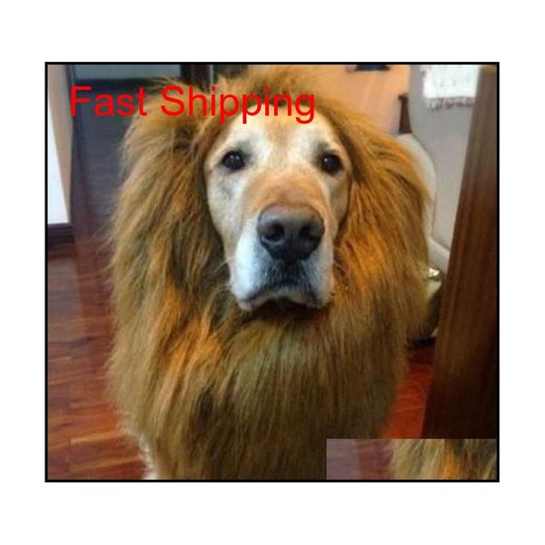 pet costume cat dog halloween clothes fancy cute dress up lion mane wig for large dogs hallow qyldzl bdebaby
pet costume cat dog halloween clothes fancy cute dress up lion mane wig for large dogs hallow qyldzl bdebaby