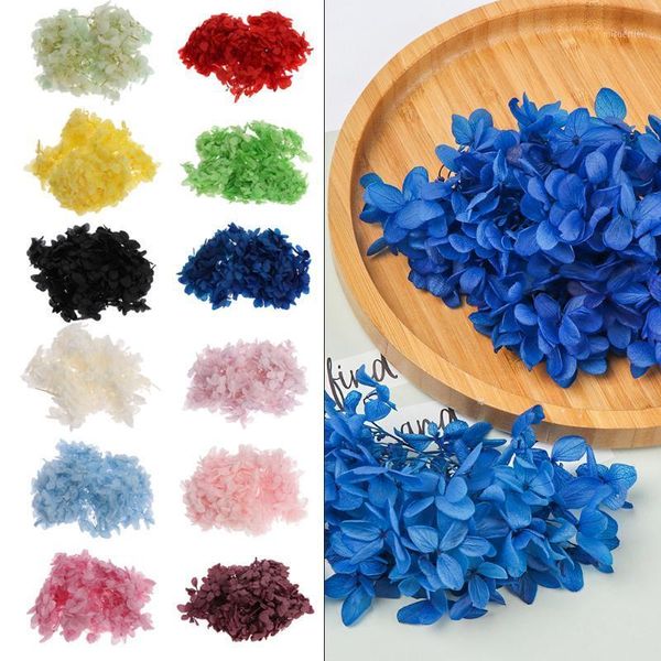 decorative flowers & wreaths 1bag natural fresh preserved dried hydrangea flower head for diy crafts real eternal life material deskdeco
decorative flowers & wreaths 1bag natural fresh preserved dried hydrangea flower head for diy crafts real eternal life material deskdeco