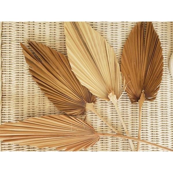 2pc dried flowers, natural air-dried flowers, pu fan leaf, dried flowers, home or shop soft display 1022
2pc dried flowers, natural air-dried flowers, pu fan leaf, dried flowers, home or shop soft display 1022
