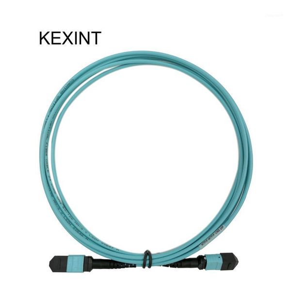 fiber optic equipment kexint optical patch cord 24cores mtp-mtp om3 mtp connector cable 40g 3m1
fiber optic equipment kexint optical patch cord 24cores mtp-mtp om3 mtp connector cable 40g 3m1