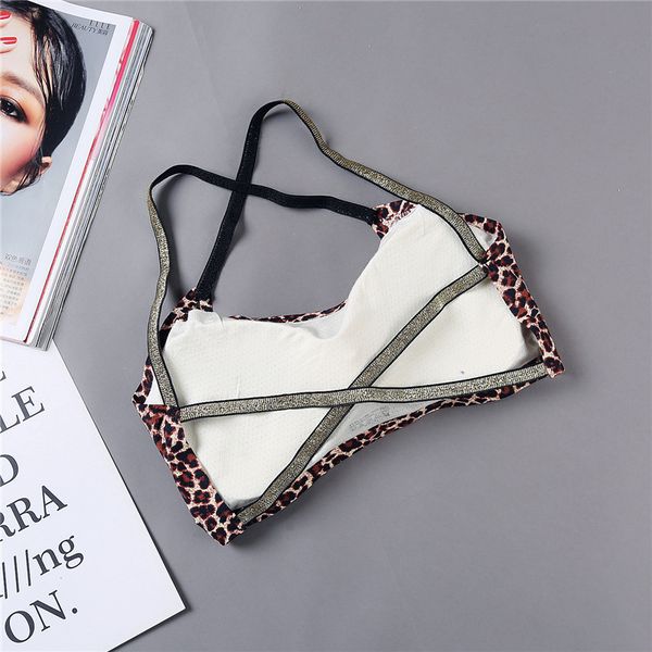 3pieces/lot leopard women tube seamless underwear streetwear sleeveless camis beauty back wrap bra tanks bandeau top, Black;white
3pieces/lot leopard women tube seamless underwear streetwear sleeveless camis beauty back wrap bra tanks bandeau top, Black;white