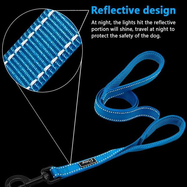 2 handles nylon padded double handle leash for greater control for medium large dog dual padded handles protect dog in sqctcb
2 handles nylon padded double handle leash for greater control for medium large dog dual padded handles protect dog in sqctcb