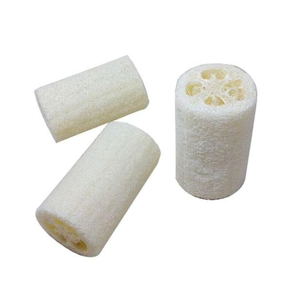 natural loofah luffa sponge with loofah for body remove the dead skin and ki sqcgej homes2007
natural loofah luffa sponge with loofah for body remove the dead skin and ki sqcgej homes2007