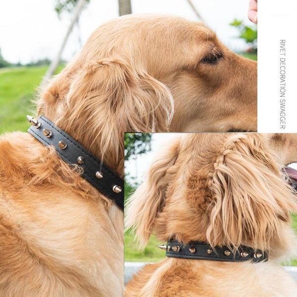 dog collars & leashes rivets studded collar leather adjustable pet necklace cool rivet cat supplies1
dog collars & leashes rivets studded collar leather adjustable pet necklace cool rivet cat supplies1
