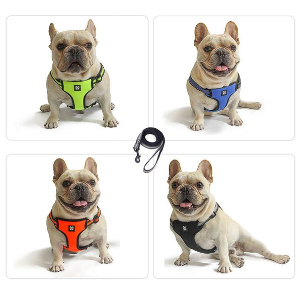 harness, adjustable walking vest, soft breathable pet suit, large and medium-sized dog collar
harness, adjustable walking vest, soft breathable pet suit, large and medium-sized dog collar