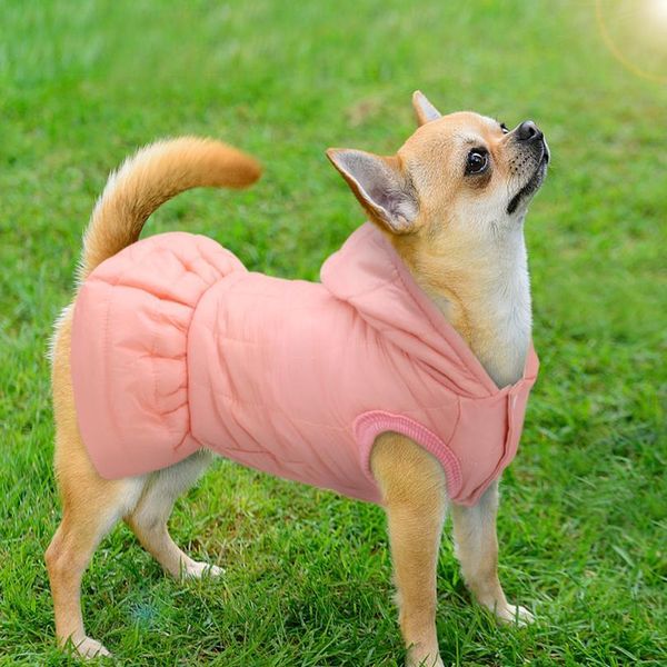 winter warm pet chihuahua dog clothes princess dog jacket coat pet clothing for small medium dogs cats pitbull outf bbylqe
winter warm pet chihuahua dog clothes princess dog jacket coat pet clothing for small medium dogs cats pitbull outf bbylqe