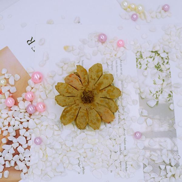 10pcs artificial flowers for home fake decor accessories flower wall diy gifts box christmas garland silk daisy fake sunflower wmtwun
10pcs artificial flowers for home fake decor accessories flower wall diy gifts box christmas garland silk daisy fake sunflower wmtwun