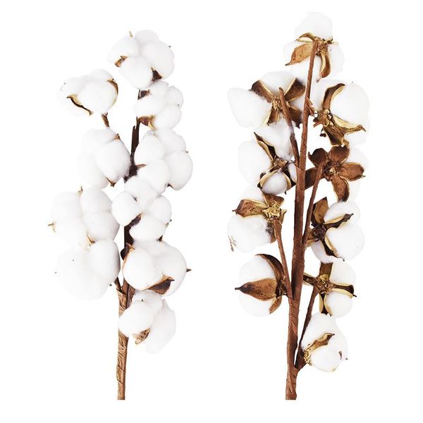 10 head/bouquet naturally dried cotton flower artificial floral branch for wedding party fake flowers home de bbywbp
10 head/bouquet naturally dried cotton flower artificial floral branch for wedding party fake flowers home de bbywbp