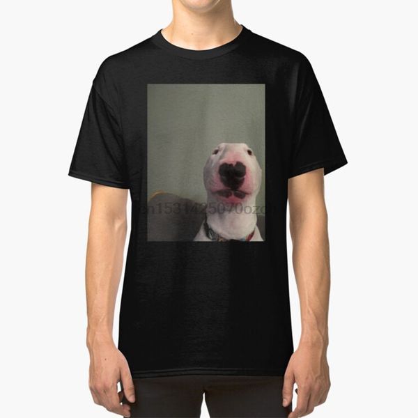 puppernelson walter оригинал puppernelson нельсон бультерьер нельсон nard dog walter meme bull балахон дизайнеры футболка толстовка
puppernelson walter оригинал puppernelson нельсон бультерьер нельсон nard dog walter meme bull балахон дизайнеры футболка толстовка