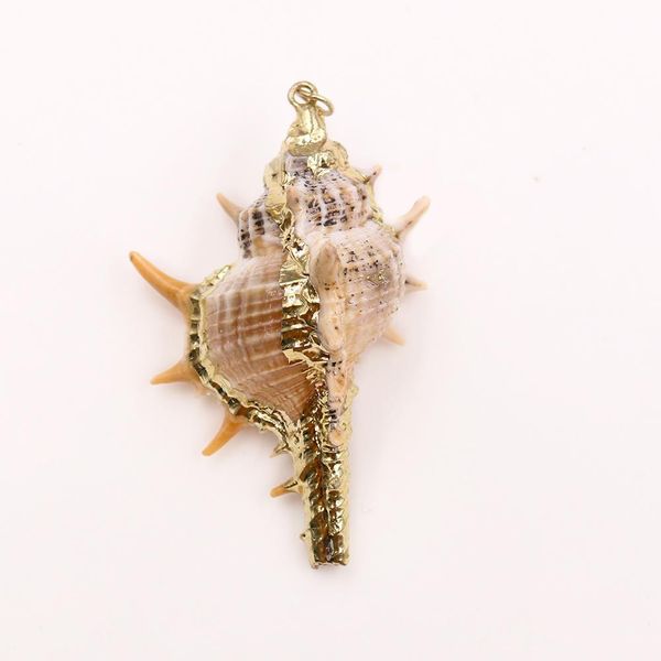 13pcs fashion boho conch shell necklace shells gold chain necklace seashells pendants for women diy jewelry accessories h jllxpz
13pcs fashion boho conch shell necklace shells gold chain necklace seashells pendants for women diy jewelry accessories h jllxpz