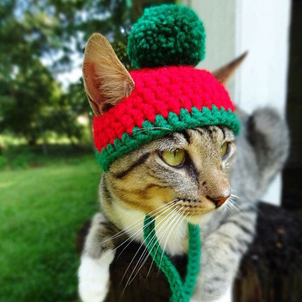 dogs cats cap christmas pet hats acrylic puppy hat with ball headwear for small dogs costume apparel hair grooming dressup gift
dogs cats cap christmas pet hats acrylic puppy hat with ball headwear for small dogs costume apparel hair grooming dressup gift